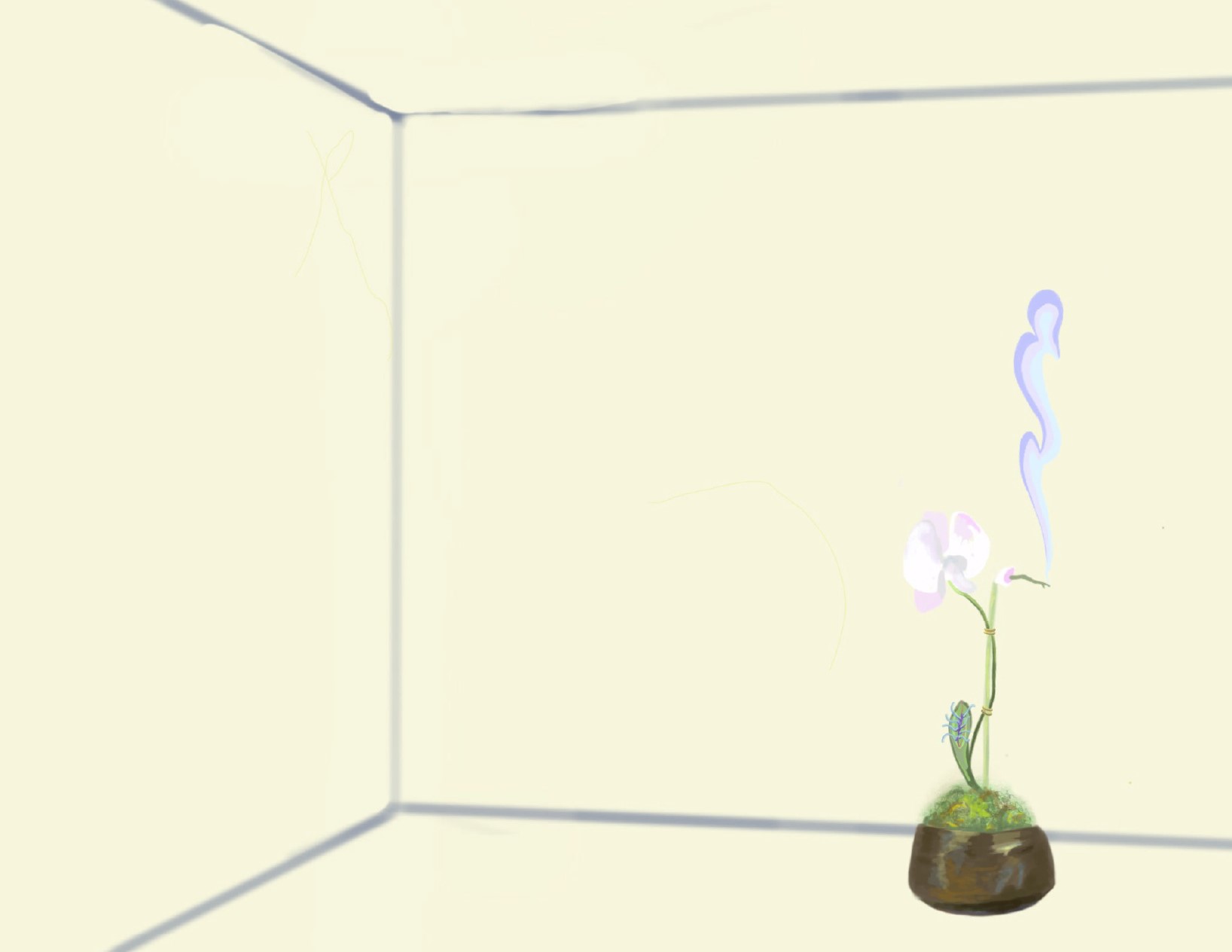 Orchid